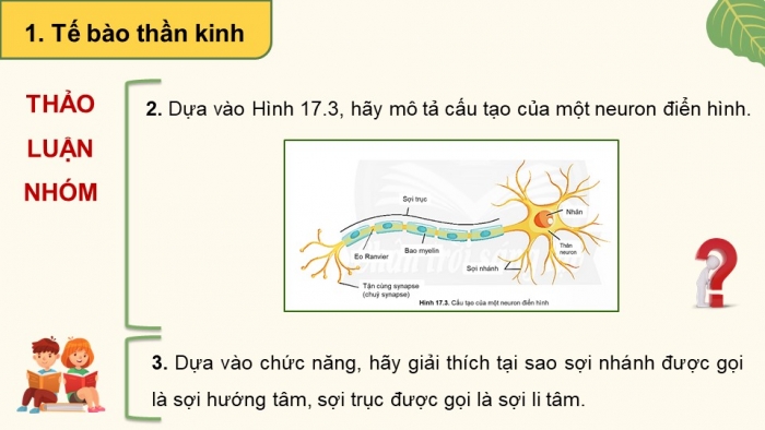 Giáo án điện tử Sinh học 11 chân trời Bài 17: Cảm ứng ở động vật (P1)