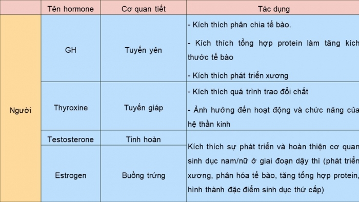 Giáo án điện tử Sinh học 11 cánh diều Bài 19: Các nhân tố ảnh hưởng đến sinh trưởng và phát triển ở động vật