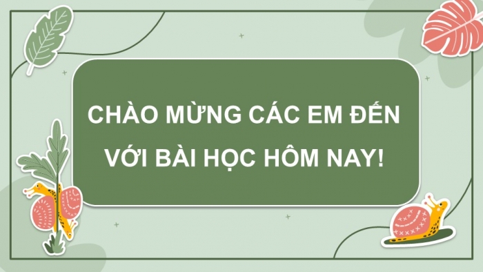 Giáo án điện tử Sinh học 11 cánh diều Bài 19: Các nhân tố ảnh hưởng đến sinh trưởng và phát triển ở động vật