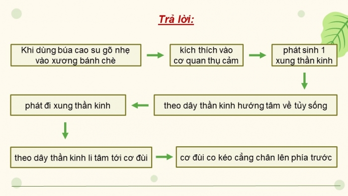 Giáo án điện tử Sinh học 11 chân trời Bài 17: Cảm ứng ở động vật (P1)