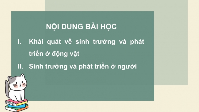 Giáo án điện tử Sinh học 11 cánh diều Bài 18: Sinh trưởng và phát triển ở động vật (P2)