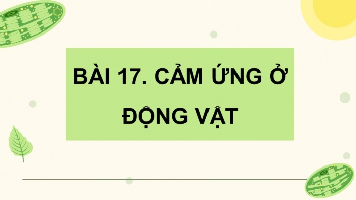 Giáo án điện tử Sinh học 11 chân trời Bài 17: Cảm ứng ở động vật (P1)