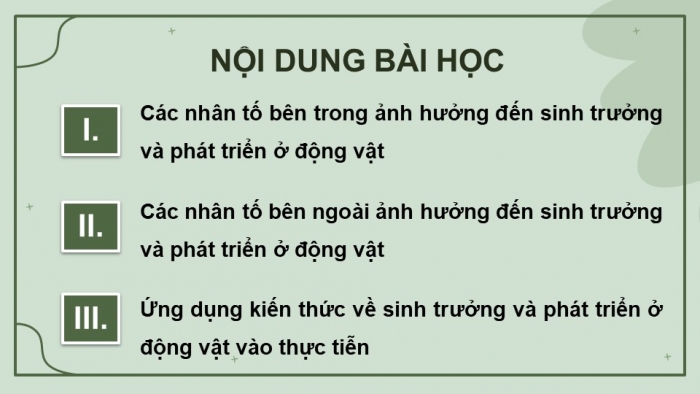 Giáo án điện tử Sinh học 11 cánh diều Bài 19: Các nhân tố ảnh hưởng đến sinh trưởng và phát triển ở động vật