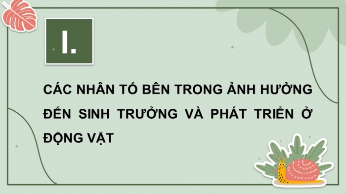 Giáo án điện tử Sinh học 11 cánh diều Bài 19: Các nhân tố ảnh hưởng đến sinh trưởng và phát triển ở động vật