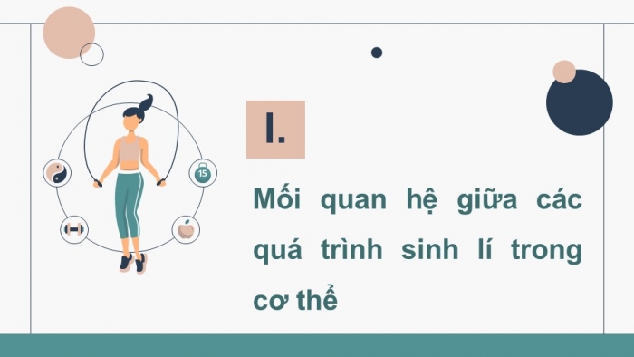 Giáo án điện tử Sinh học 11 cánh diều Bài 23: Cơ thể là một thể thống nhất 