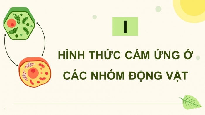 Giáo án điện tử Sinh học 11 chân trời Bài 17: Cảm ứng ở động vật (P1)