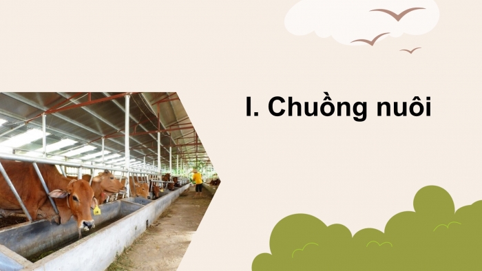 Giáo án điện tử Công nghệ chăn nuôi 11 kết nối Bài 16: Chuồng nuôi và biện pháp vệ sinh trong chăn nuôi