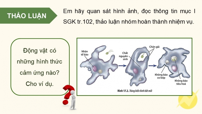 Giáo án điện tử Sinh học 11 chân trời Bài 17: Cảm ứng ở động vật (P1)