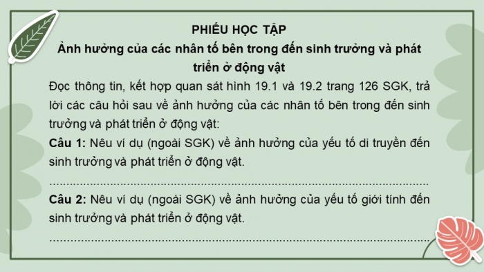 Giáo án điện tử Sinh học 11 cánh diều Bài 19: Các nhân tố ảnh hưởng đến sinh trưởng và phát triển ở động vật