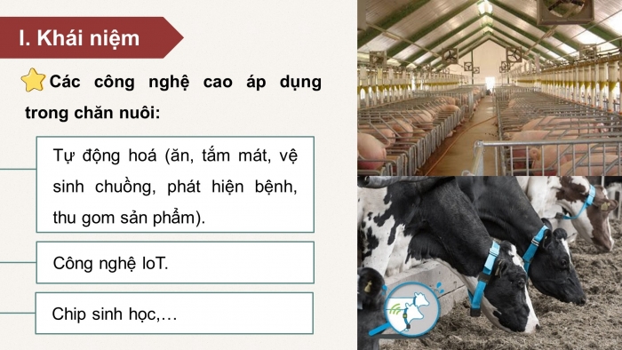 Giáo án điện tử Công nghệ chăn nuôi 11 kết nối Bài 19: Chăn nuôi công nghệ cao