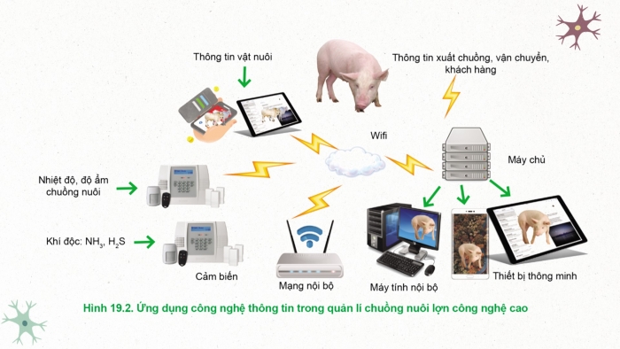 Giáo án điện tử Công nghệ chăn nuôi 11 cánh diều Bài 19: Một số mô hình chăn nuôi công nghệ cao