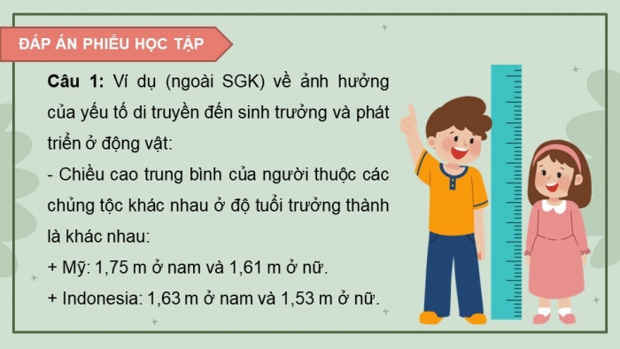 Giáo án điện tử Sinh học 11 cánh diều Bài 19: Các nhân tố ảnh hưởng đến sinh trưởng và phát triển ở động vật