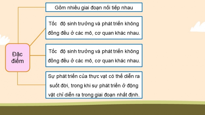 Giáo án điện tử Sinh học 11 cánh diều bài: Ôn tập chủ đề 3