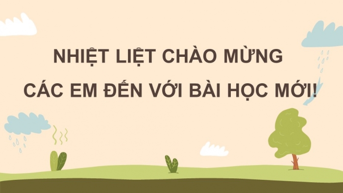 Giáo án điện tử Sinh học 11 cánh diều bài: Ôn tập chủ đề 3