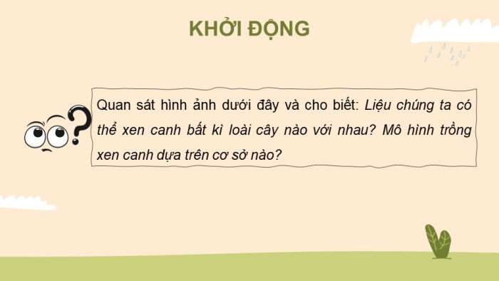 Giáo án điện tử Sinh học 11 cánh diều bài: Ôn tập chủ đề 3