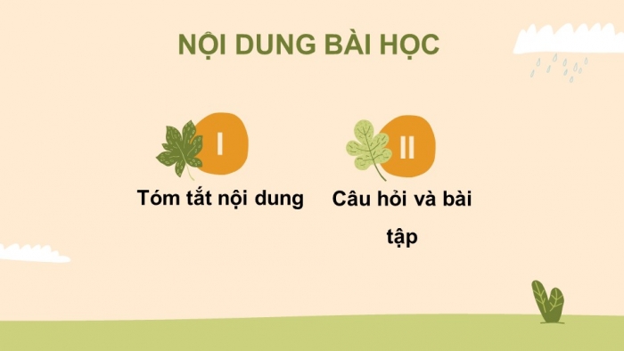 Giáo án điện tử Sinh học 11 cánh diều bài: Ôn tập chủ đề 3