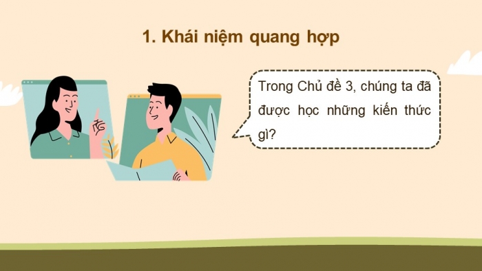 Giáo án điện tử Sinh học 11 cánh diều bài: Ôn tập chủ đề 3