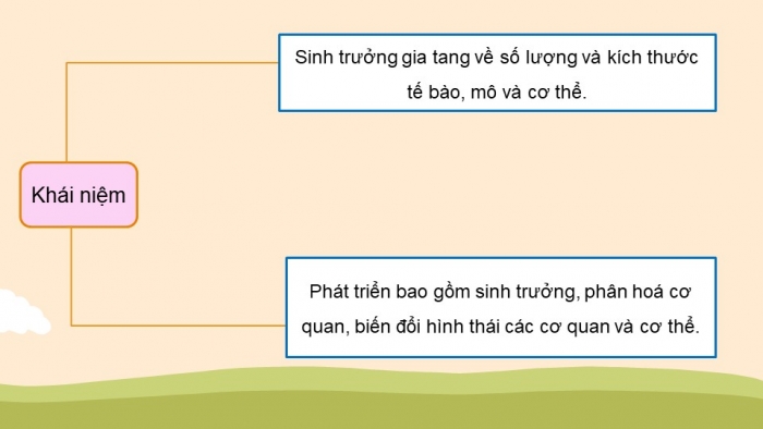 Giáo án điện tử Sinh học 11 cánh diều bài: Ôn tập chủ đề 3