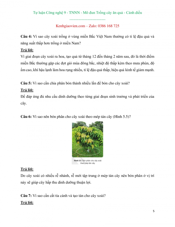 Câu hỏi và bài tập tự luận Công nghệ 9 - Trồng cây ăn quả cánh diều