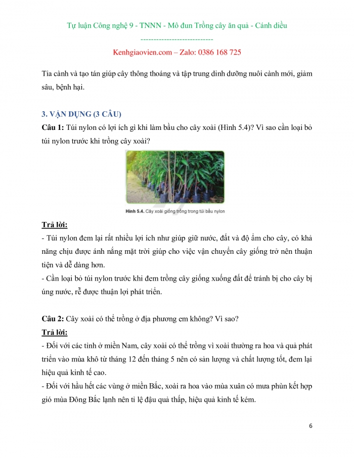 Câu hỏi và bài tập tự luận Công nghệ 9 - Trồng cây ăn quả cánh diều