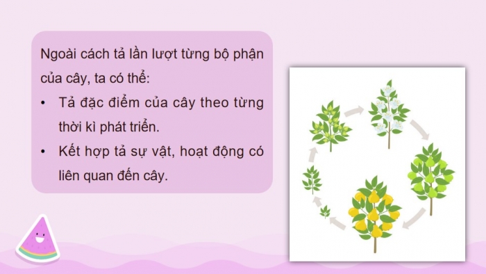 Giáo án powerpoint dạy thêm Tiếng Việt 4 kết nối Bài 18: Bước mùa xuân