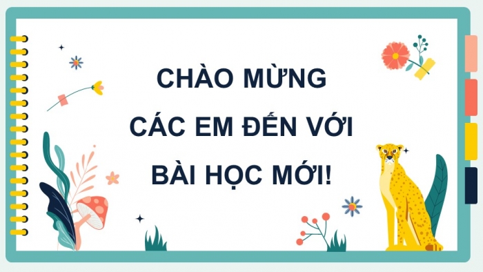 Giáo án powerpoint dạy thêm tiếng việt 4 chân trời CĐ 1 Bài 2: Đoá hoa đồng thoại 