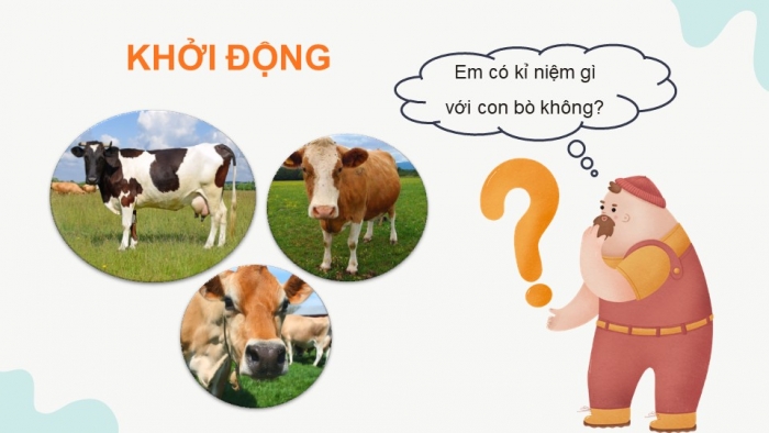 Giáo án powerpoint dạy thêm tiếng việt 4 cánh diều Bài 13 Đàn bò gặm cỏ