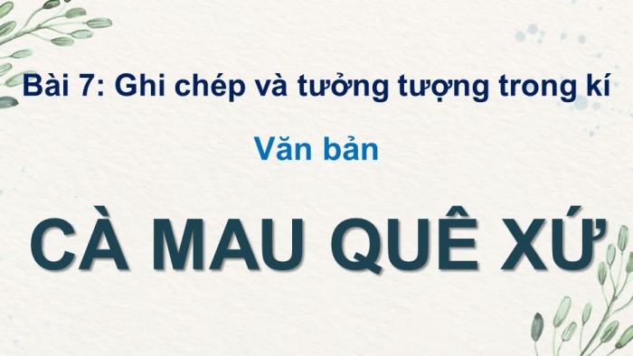 Giáo án powerpoint dạy thêm Ngữ văn 11 kết nối Bài 7 Cà Mau quê xứ