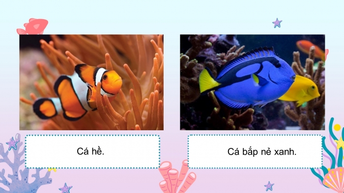Giáo án powerpoint dạy thêm tiếng việt 4 chân trời CĐ 8 bài 1: Cá heo ở biển Trường Sa