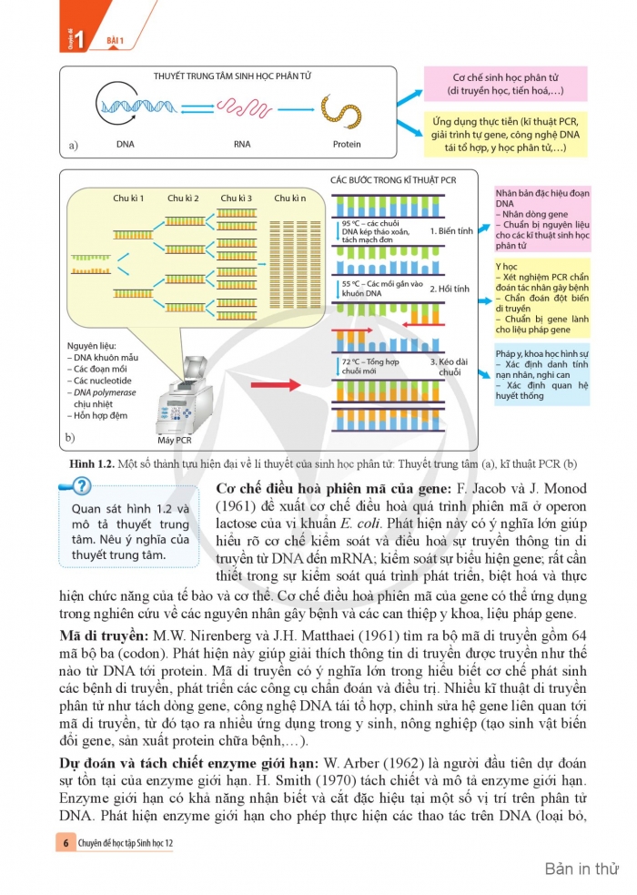 Tải PDF shs chuyên đề Sinh học 12 cánh diều