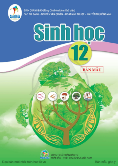 Giáo án Sinh học 12 mới năm học 2024 - 2025