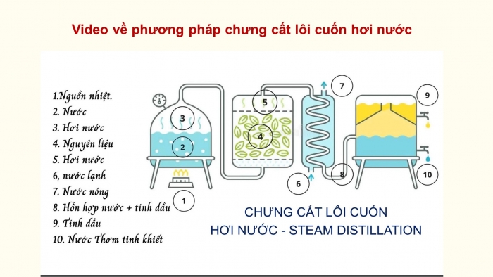 Giáo án điện tử chuyên đề Hoá học 11 kết nối CĐ 2 Bài 4: Tách tinh dầu từ các nguồn thảo mộc tự nhiên