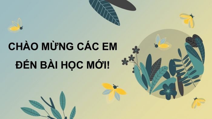 Giáo án powerpoint dạy thêm Tiếng Việt 4 cánh diều Bài 7: Đọc 4- Anh đom đóm