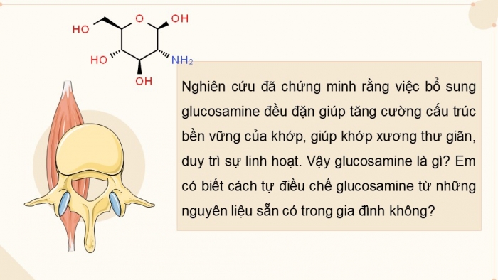 Giáo án điện tử chuyên đề Hoá học 11 kết nối CĐ 2 Bài 6: Điều chế glucosamine hydrochloride từ vỏ tôm
