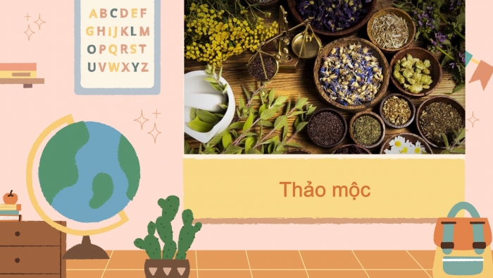 Giáo án powerpoint dạy thêm Ngữ văn 8 chân trời Bài 3: Thực hành tiếng Việt