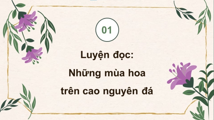 Giáo án powerpoint dạy thêm tiếng việt 4 chân trời CĐ 3 bài 8: Những mùa hoa trên cao nguyên đá