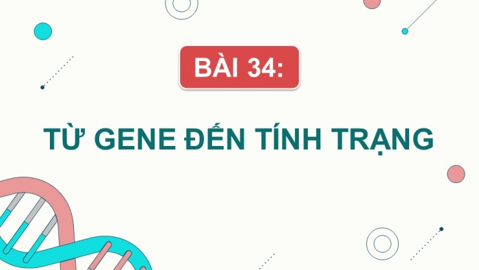 Sinh học 9 cánh diều: Giáo án điện tử kì 1