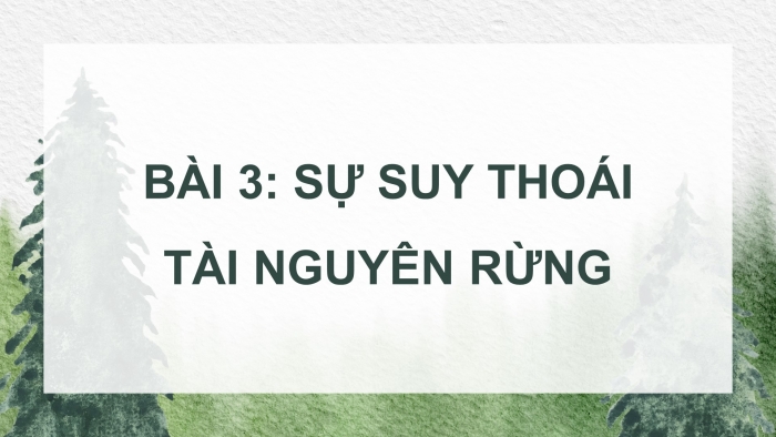 Công nghệ 12 Lâm nghiệp - Thủy sản cánh diều: Giáo án điện tử kì 1