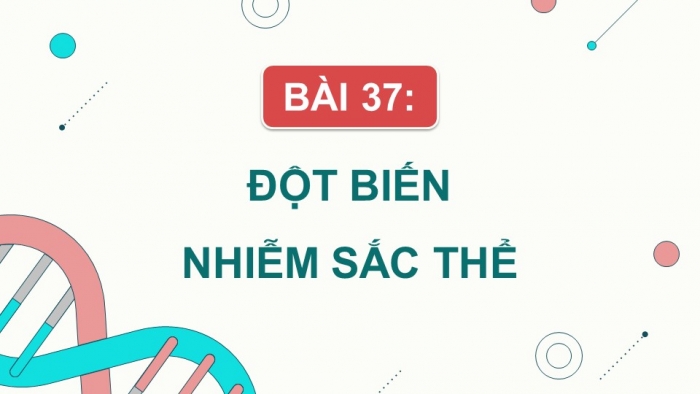 Sinh học 9 cánh diều: Giáo án điện tử kì 1