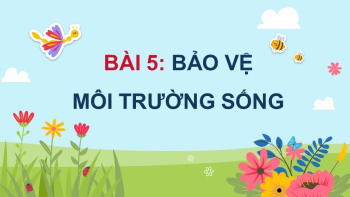 Đạo đức 5 kết nối tri thức: Giáo án điện tử kì 1