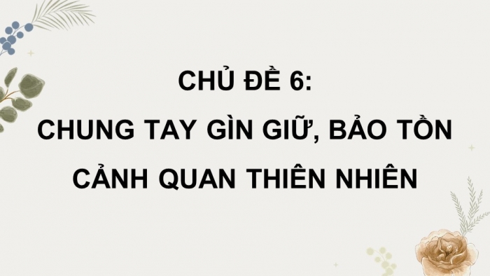 Hoạt động trải nghiệm 12 kết nối tri thức: Giáo án điện tử kì 1