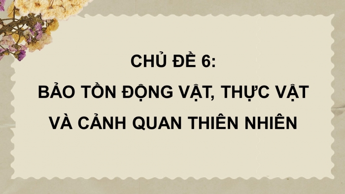 Hoạt động trải nghiệm 12 bản 2 chân trời sáng tạo: Giáo án điện tử kì 1