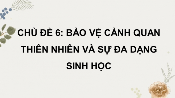 Hoạt động trải nghiệm 12 cánh diều: Giáo án điện tử kì 1