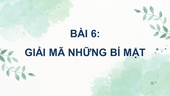 Ngữ văn 9 kết nối tri thức: Giáo án điện tử kì 1