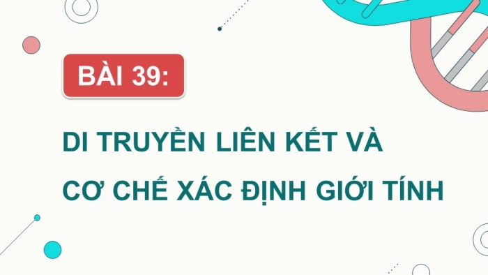 Sinh học 9 cánh diều: Giáo án điện tử kì 1