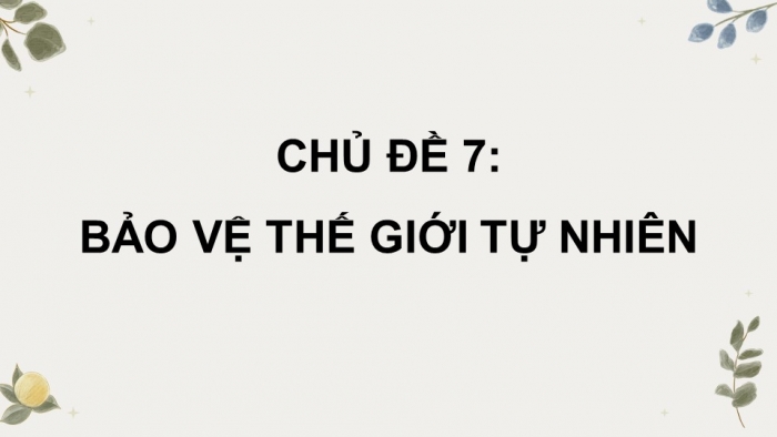 Hoạt động trải nghiệm 12 kết nối tri thức: Giáo án điện tử kì 1