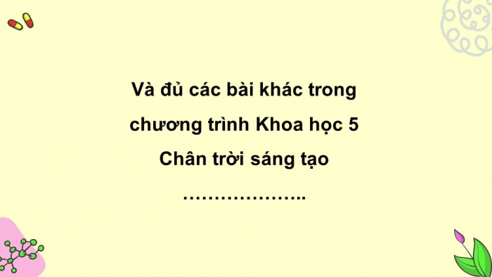 Khoa học 5 chân trời sáng tạo: Giáo án điện tử kì 1