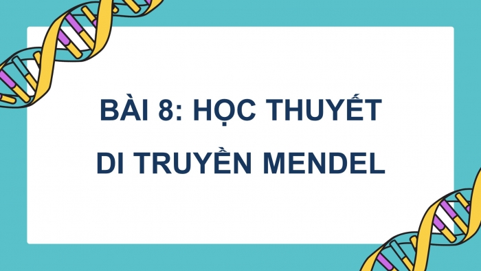 Sinh học 12 kết nối tri thức: Giáo án điện tử kì 1