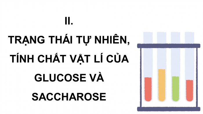 Giáo án điện tử KHTN 9 kết nối - Phân môn Hoá học Bài 29: Carbohydrate. Glucose và saccharose