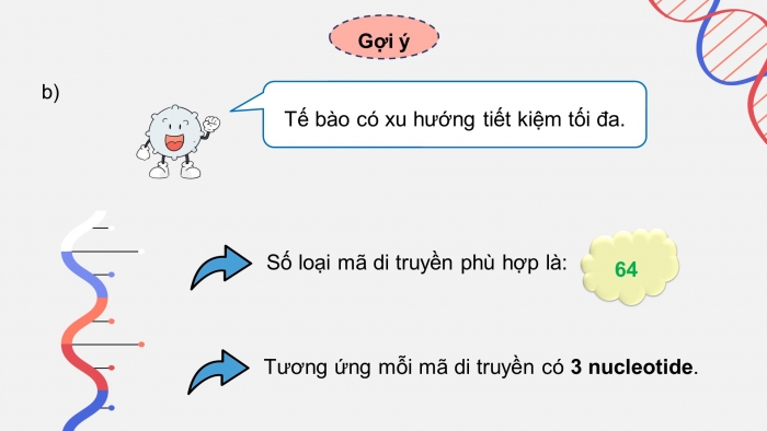 Giáo án điện tử KHTN 9 kết nối - Phân môn Sinh học Bài 40: Dịch mã và mối quan hệ từ gene đến tính trạng